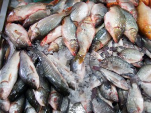 タイの市場で売られていた魚