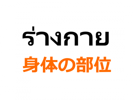 タイ語で身体の部位と発音 顔 頭 目 鼻 口 手足 腹 背中 こんにちは タイ