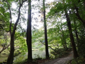 成田山新勝寺-11